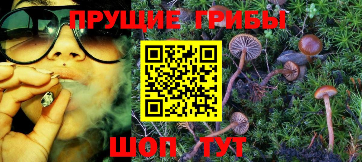 Орёл  Галлюциногенные грибы мицелий  купить  цена  Вход с VPN  Галлюциногенные грибы GOLDEN TEACHER 