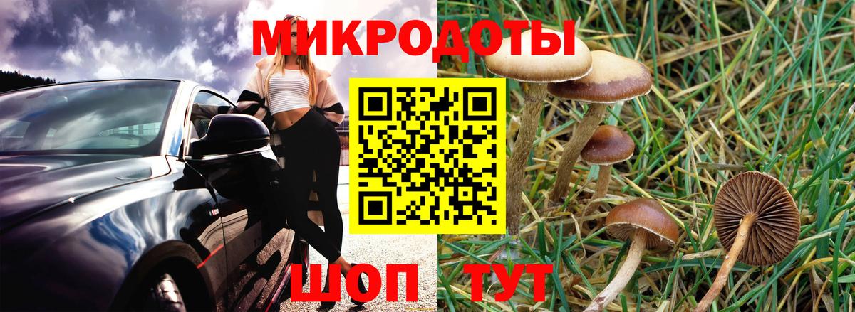 Галлюциногенные грибы мухоморы Орёл